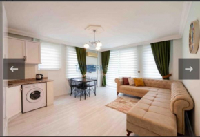 Cozy apartment